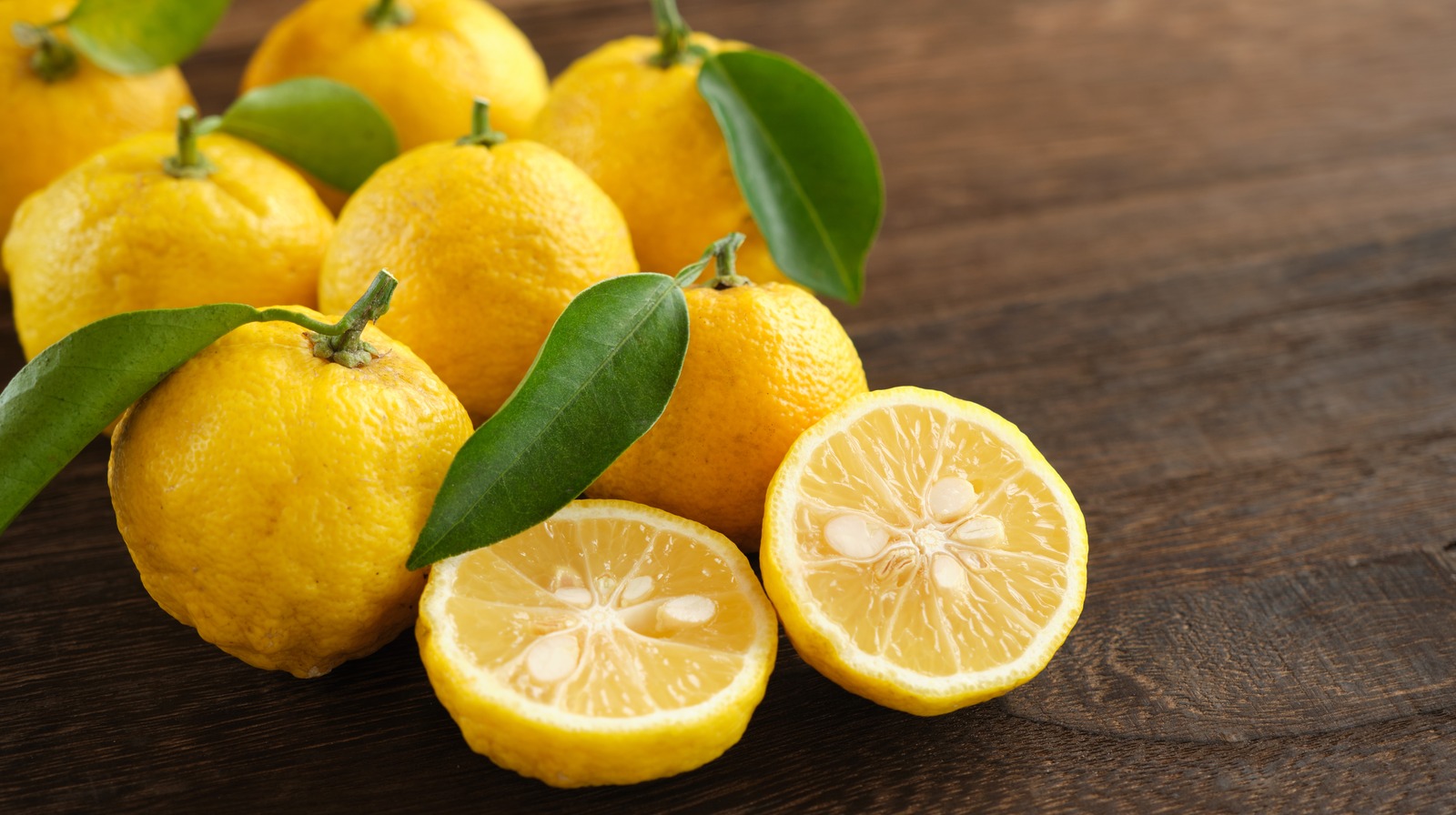 Yuzu tree, grow the citrus that can survive cold winters