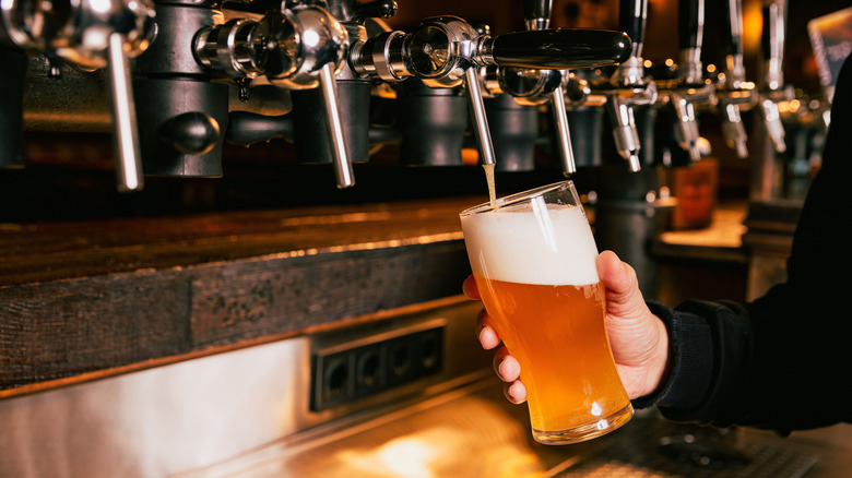 A close up of a bartender filling a pint glass of beer from the draft faucet