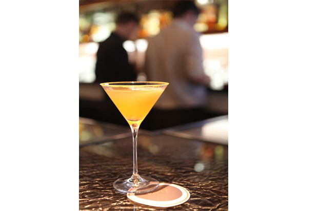 Fall in Apple at Volt