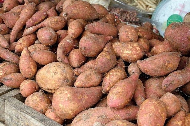 Sweet Potatoes