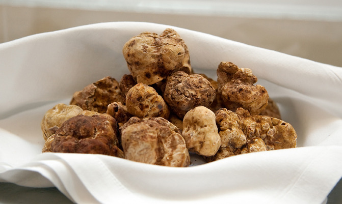 Fancy Stuff You Should Like but Probably Don't