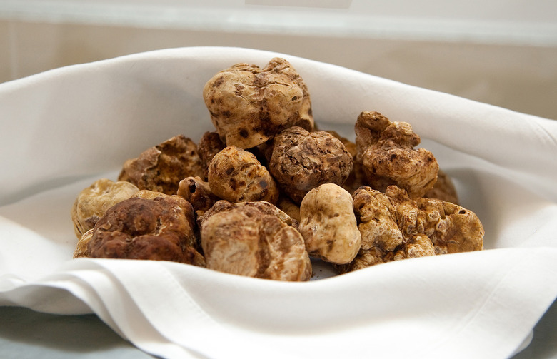 White Truffles