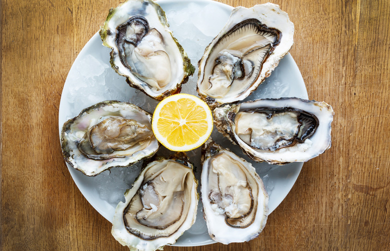 Oysters