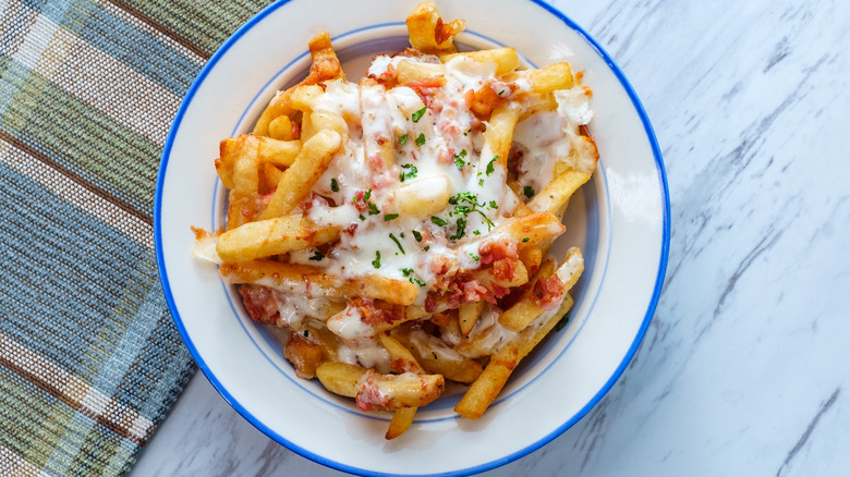 A bowl of loaded fries 