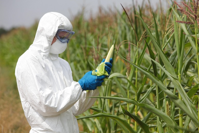 For many, "GMO" is still seen as a dirty word.