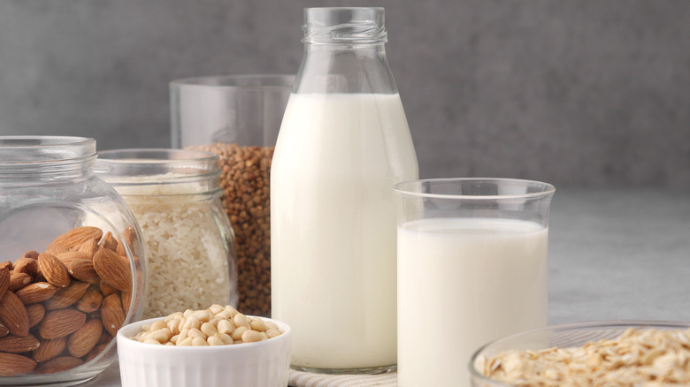 Assortment of vegan milks surrounding by jars of nuts
