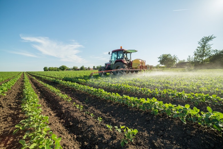 FDA to Start Testing Food for Residues From Glyphosate, Widely Used Pesticide and Probable Human Carcinogen  