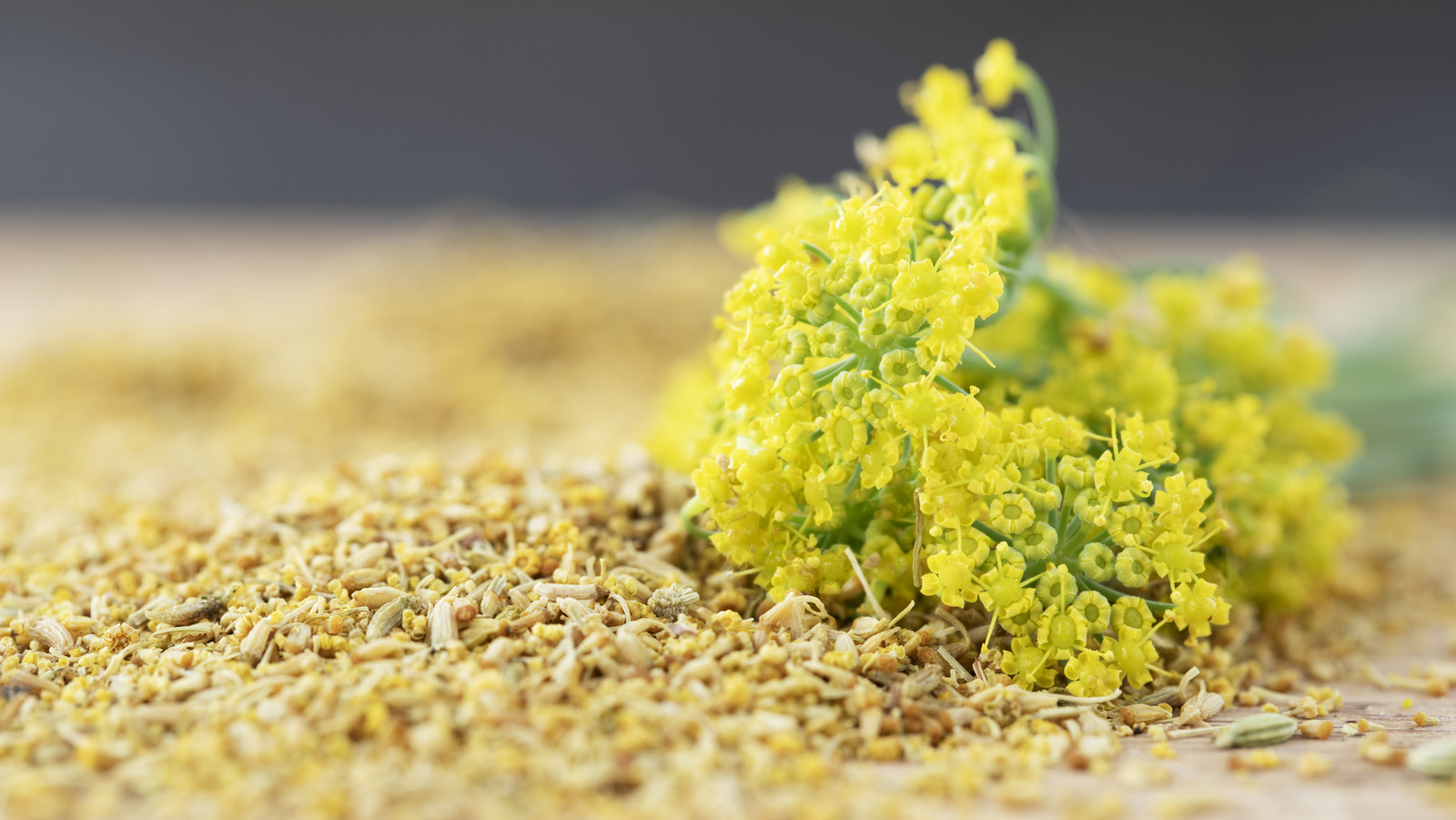 Fennel Pollen Is A Little-Known Powerhouse Ingredient For Nearly Any Dish - Vimarsana News