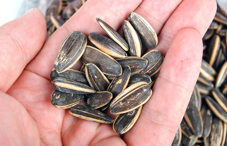 Sunflower seeds
