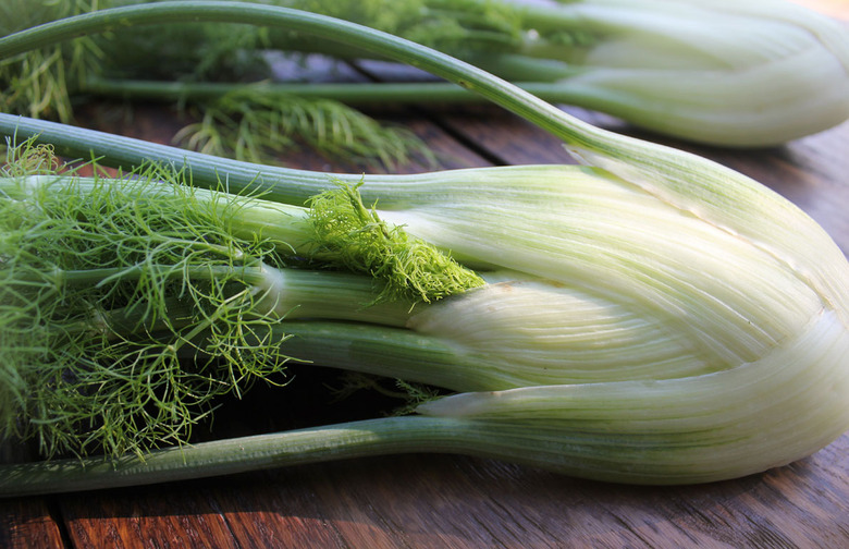 Fennel