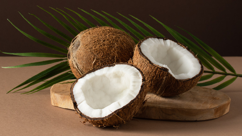 Coconuts with palm leaf