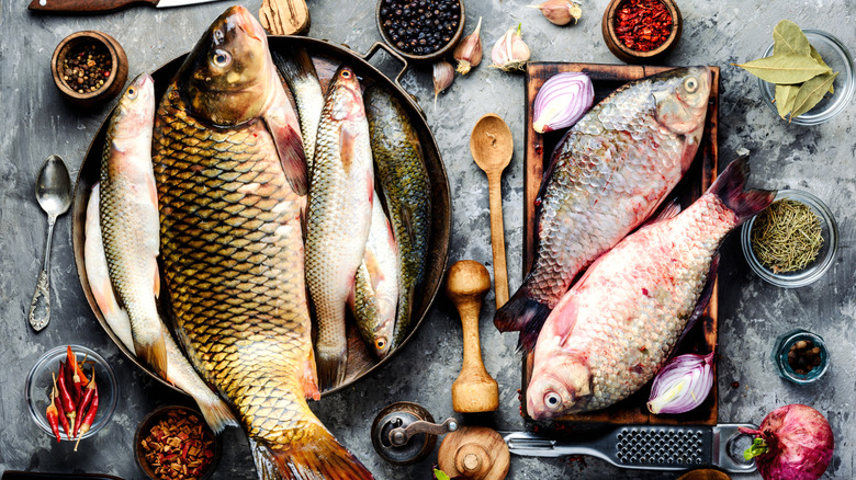 Different varieties of fish