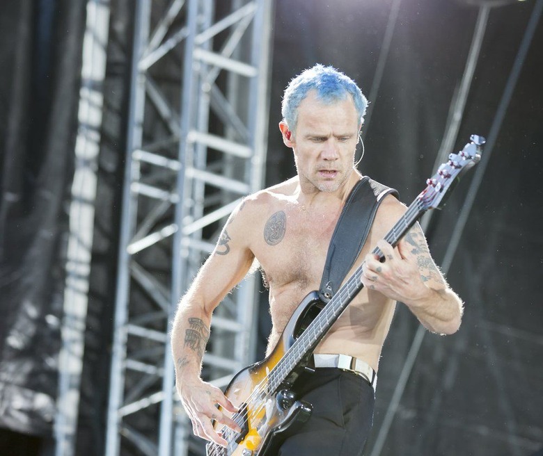 'Flea's Bees': The Bassist for the Red Hot Chili Peppers Is Now a Beekeeper 
