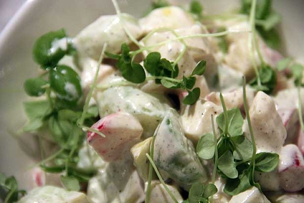 Not Your Typical Salad 