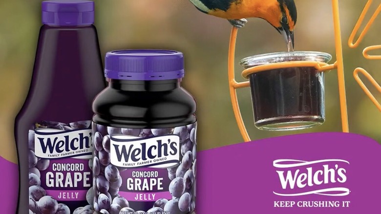 Welch's Concord Grape Jelly