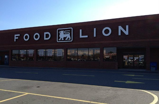 who owns food lion grocery chain
