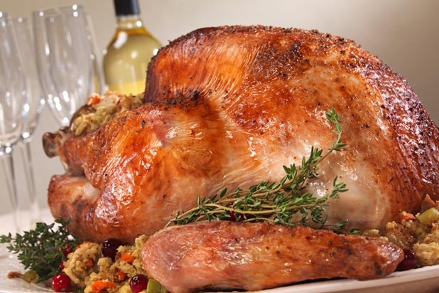 Third Week of November: Turkey  