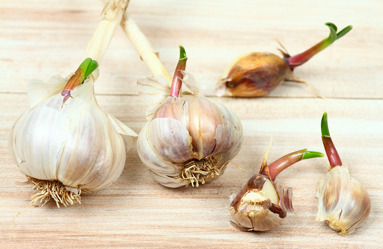 Foods You Should Never Refrigerate and How to Store Them Instead