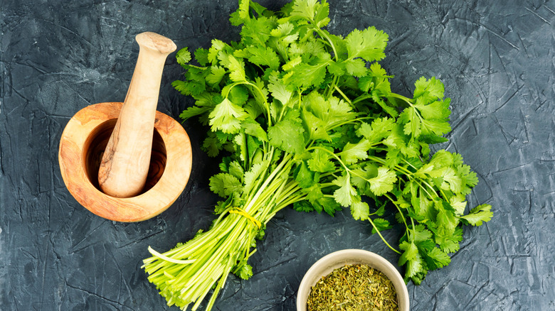 Fresh cilantro, pestle and mortar, and cilantro seeds