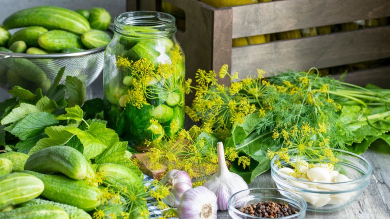 Homemade pickle ingredients