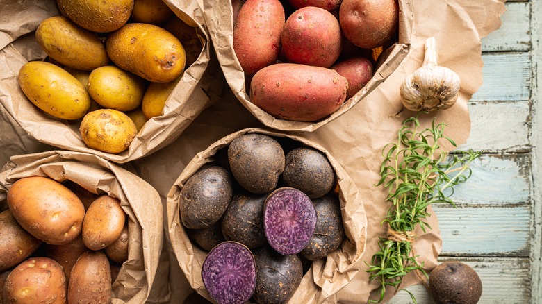 Four potato varieties in bags