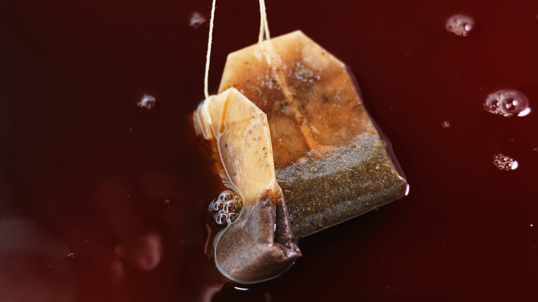 Close up of two black tea bags in water that is darkening