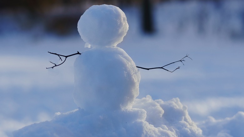 Snowman with no face