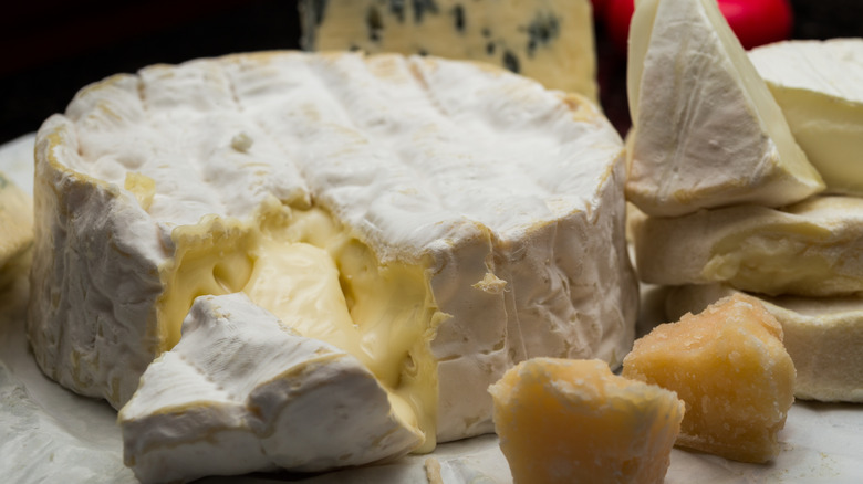 Gooey sliced washed rind cheese