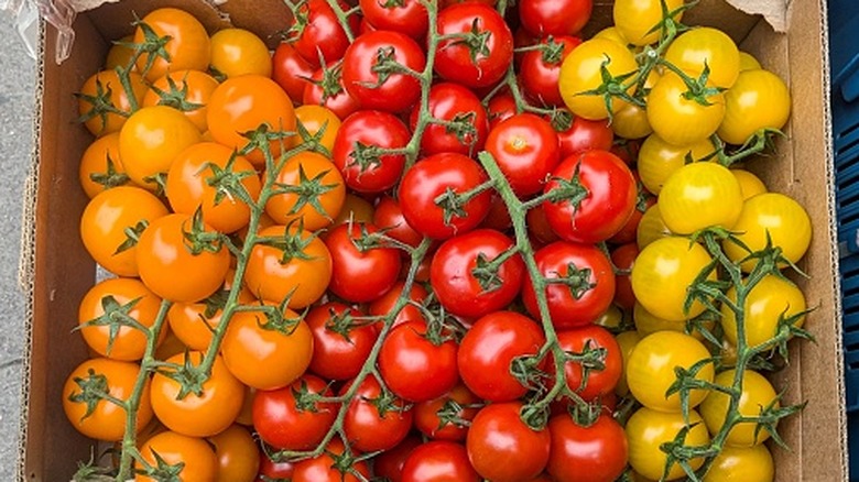Red, yellow, and orange cherry tomatoes