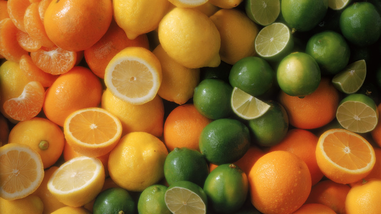 Pile of citrus fruits 