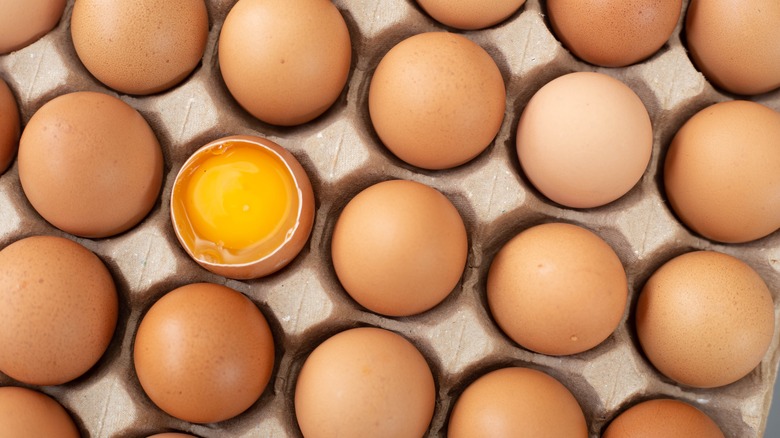 Rows of brown eggs