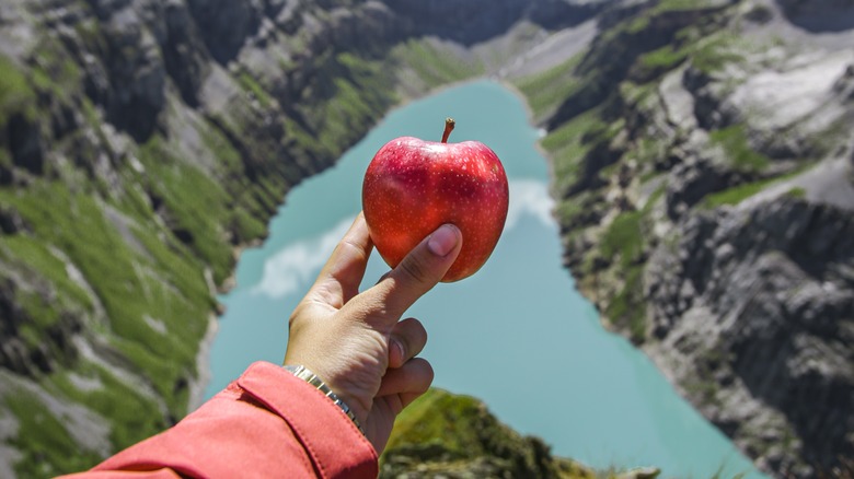 person holding an apple outside