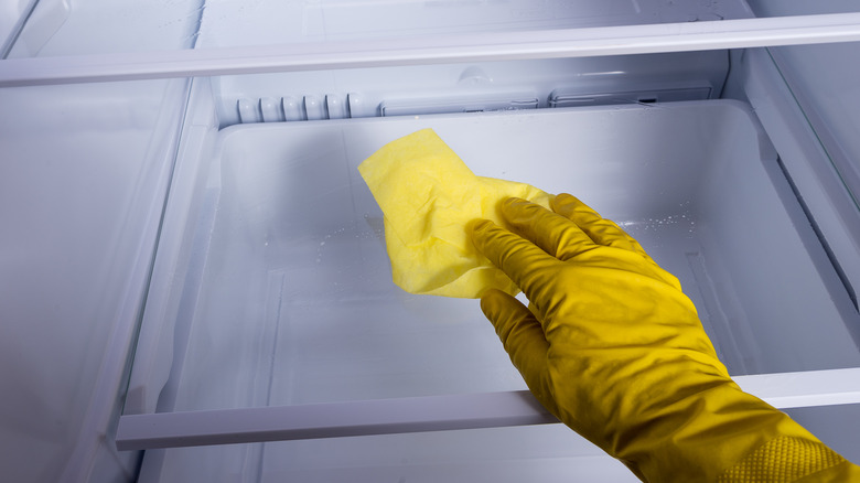 Gloved hand cleaning the inside of a fridge