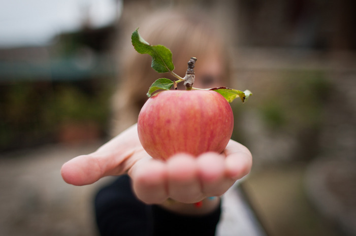 #19 Wilson Banner Ranch, Clarkston, Wash.