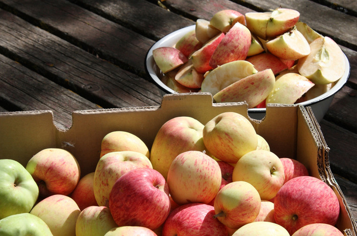 #20 Chileno Valley Ranch, Petaluma, Calif.