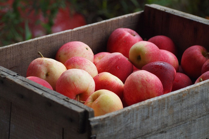 #2 Eckert's, Millstadt, Ill.