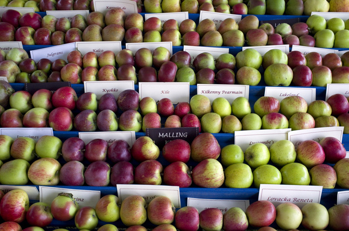 #3 Belkin Family Lookout Farm, Natick, Mass. 