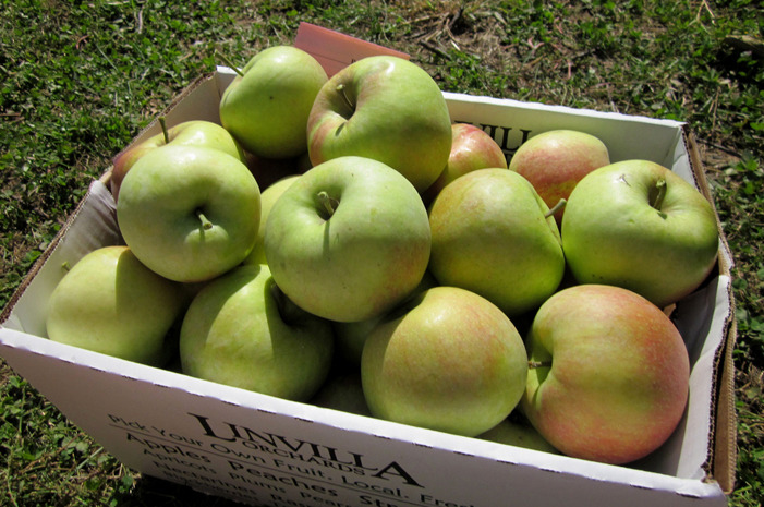 #9 Huber's Orchard, Winery & Vineyards, Borden, Ind.