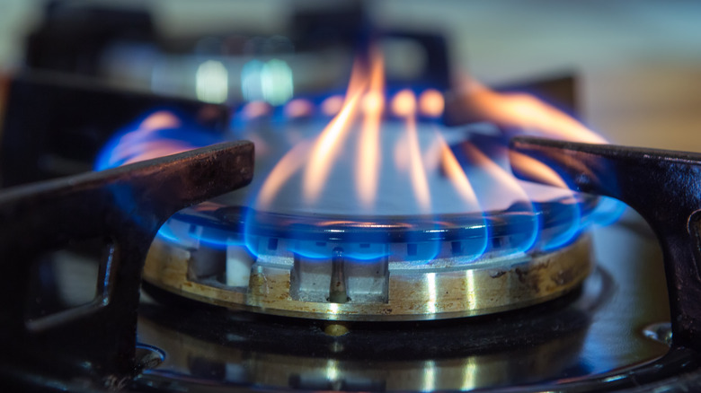 gas stove showing blue flame and fire