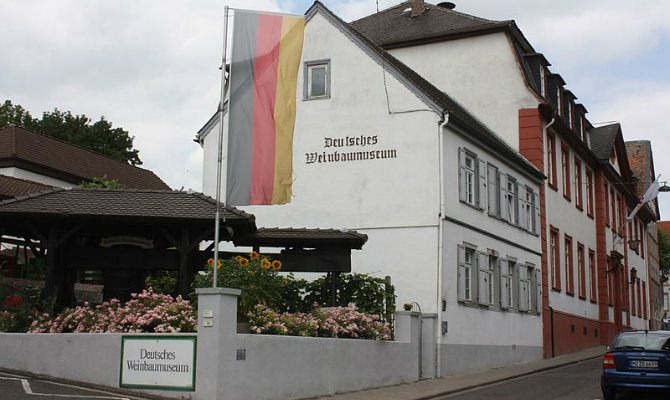 German wine museum
