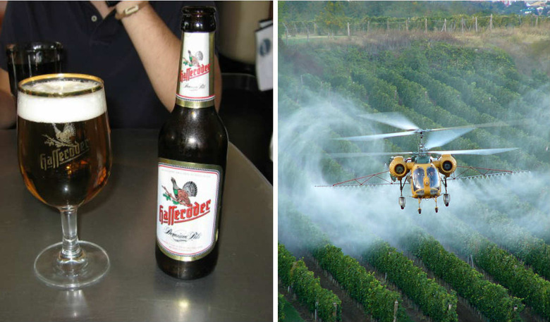 Germans are saying "nein" to weed killer in their brews.