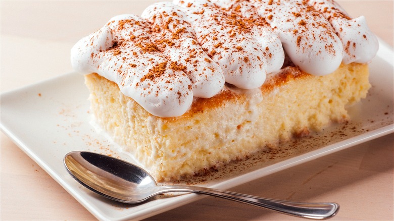 Tres leches cake with cinnamon 