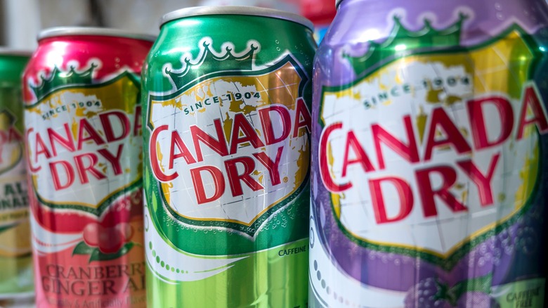 cans of Canada Dry beverages