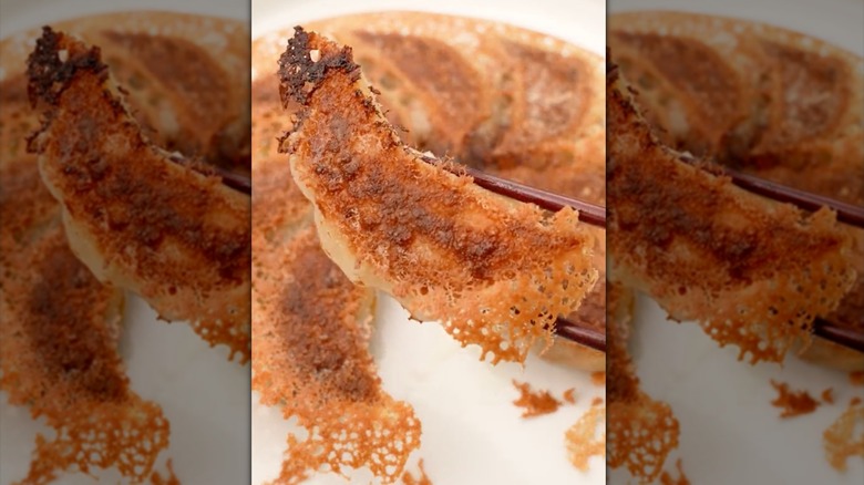 dumplings with cornstarch skirt