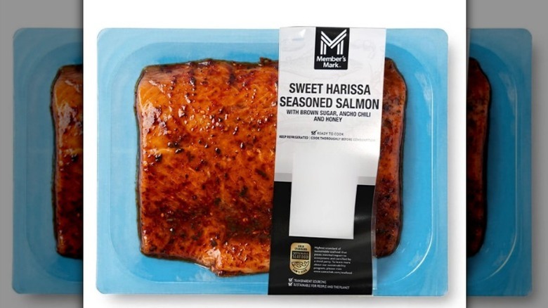 Sweet harissa salmon on blue tray against white background