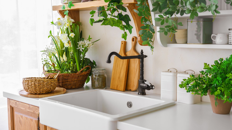 Kitchen with greenery