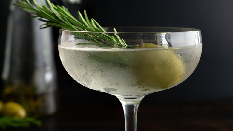 martini with rosemary in a coupe glass