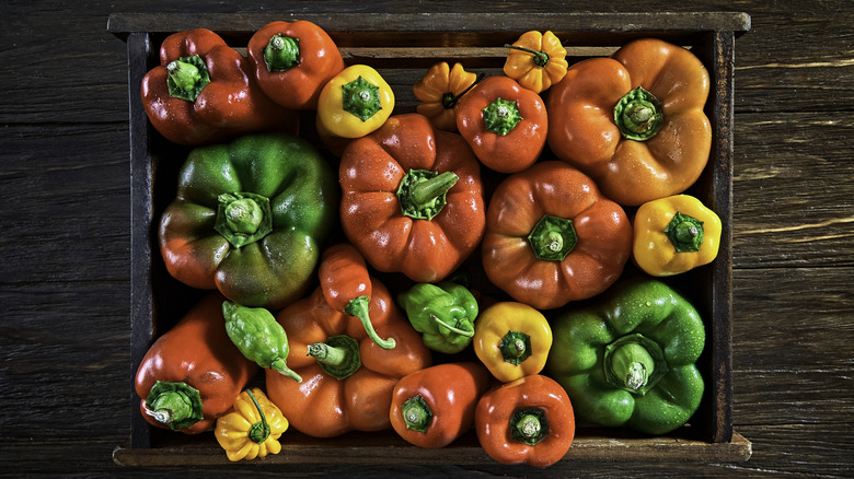 Crate of green, yellow, and red bell peppers