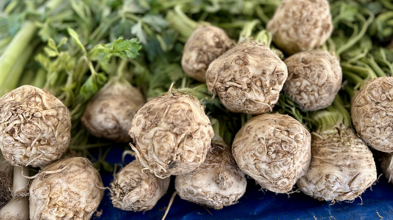 A bunch of celeriac piled on a table