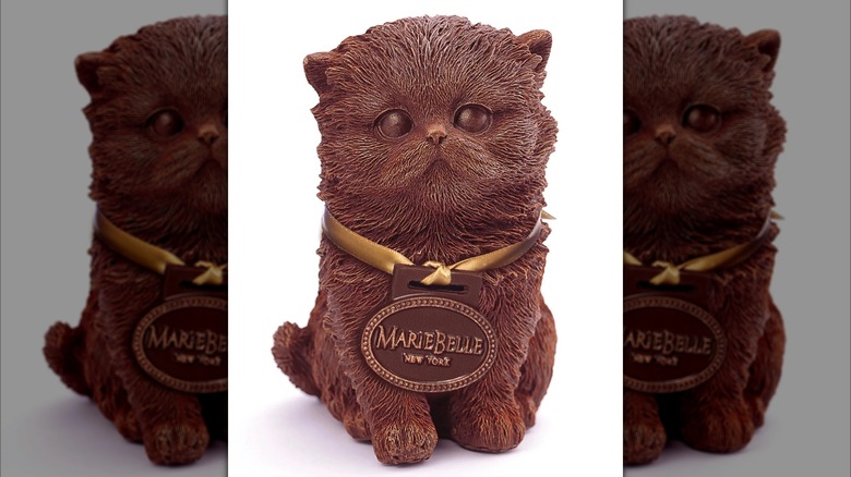 MarieBelle Chocolate Persian Cat